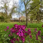 Ferienhaus Snape Castle Garden Bedale